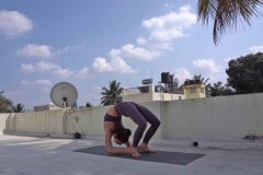 Chakrabandhasana