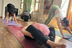 Yoga-Retreat-Croatia-Solta-island-13