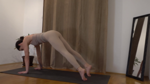 Vinyasa prijelaz Pas Gore u Psa Dolje