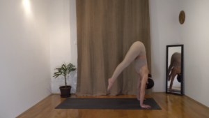 VINYASA SKOK UNAZAD