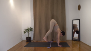 VINYASA SKOK UNAPRIJED