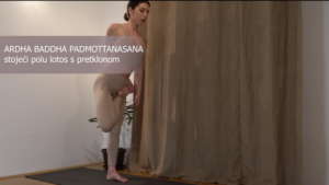 Stojeći položaji 7/8